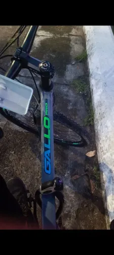 Bike aro 29 Gallo