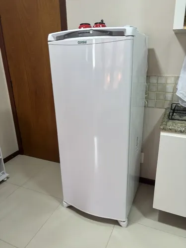 Geladeira Consul Frost Free 300 L 220V