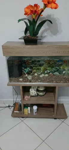 Aquario pra peixe