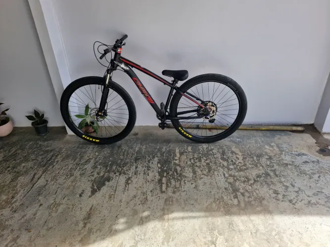 Bicicleta aro29
