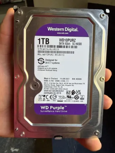 HD 1TB WESTERN DIGITAL 