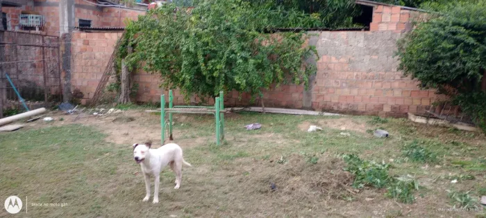 Terreno a venda n redenção