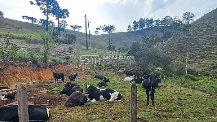 SITIO AGROPECUÁRIA/PISCICULTURA/LAZER/TURISMO - SILVEIRAS-SP