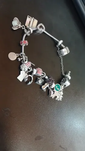 pulseira pandora completa prata - 19 itens