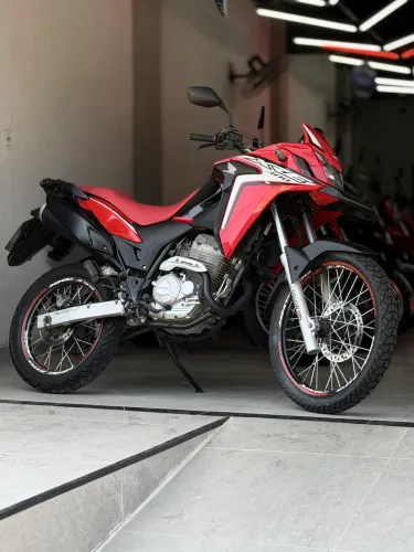 HONDA XRE 300 RALLY 2020/2020