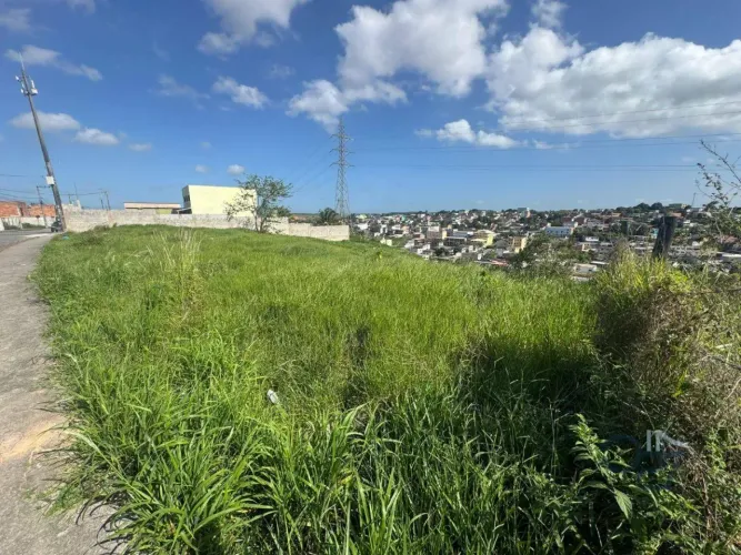 Área com quase 1500m2 em Viana