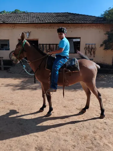 Burro para criança andar