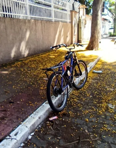 Bike motorizada 80cc