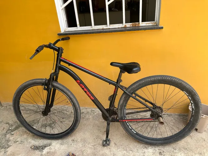 Bicicleta