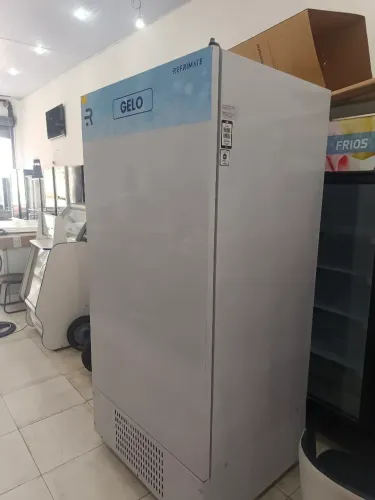 Mini Camara para gelo, congelados e resfriados dupla ação 1100 litros 220v nova