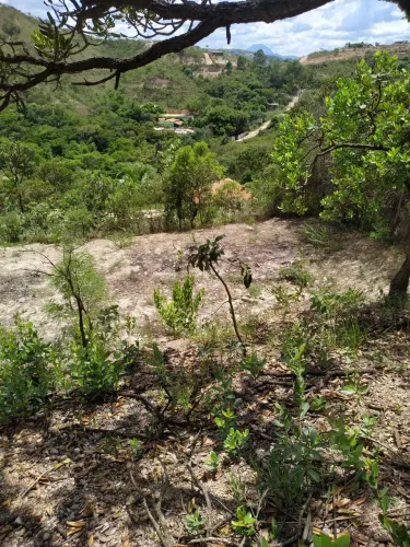 Vendo terreno ipê amarelo Sabará 