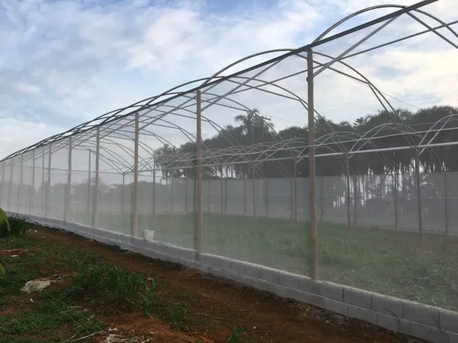 ESTUFA AGRÍCOLA
