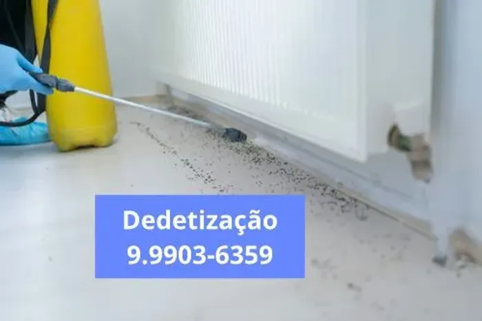 Dedetização