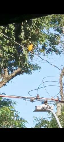 Vendo casa com terreno,, terraço novo,,casa, reformada água,luz,tudo, independente