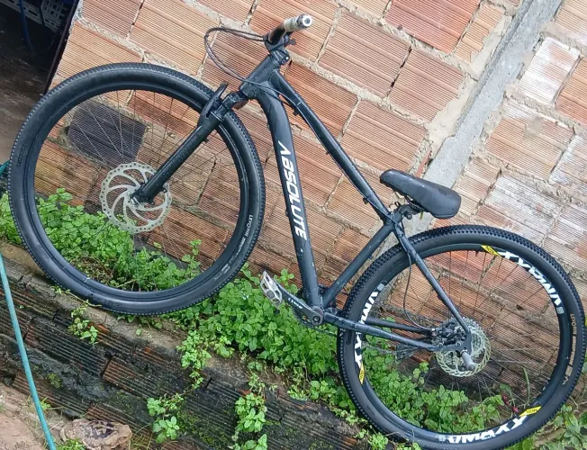 bike aro 29