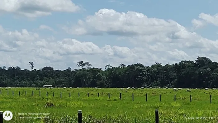 R$ 5 milhões de reais fazenda com 532 hectares pronta no Pará