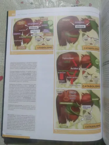 Duas apostilas Medcurso endocrinologia 2021 ciclo 1