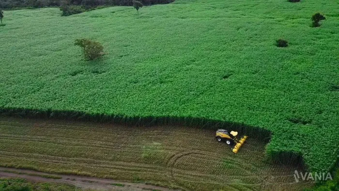 Fazenda a 100km de Taquaralto