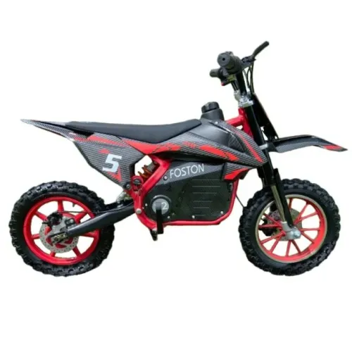 MOTO ELETRICA FOSTON X2 500w