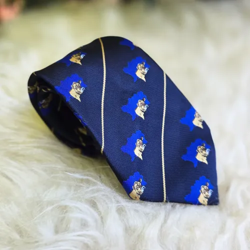 Gravata azul tradicionalista sertanejo brechó