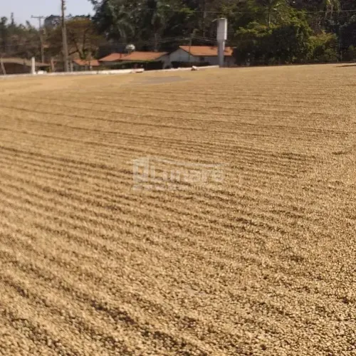 Fazenda à venda, 1560000 m² por R$ 35.000.000,00 - Rural - São Gotardo/MG
