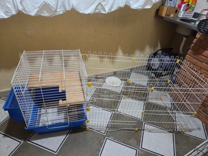 Gaiola para coelho com ambiente duplo.