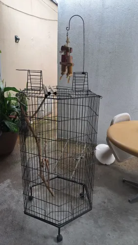 Gaiola para papagaio.