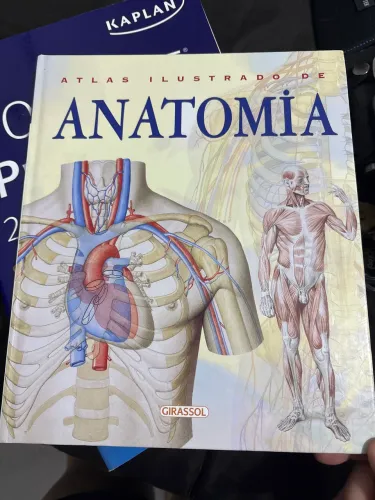 Atlas Ilustrado de Anatomia Humana - Editora Girassol | Excelente Estado