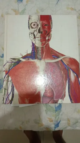 Livro O corpo humano -Guia de suas estruturas