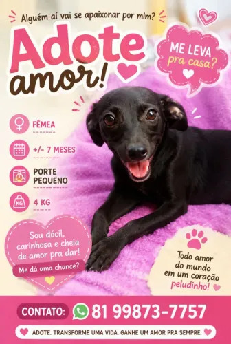 Cadelinha pequeno porte