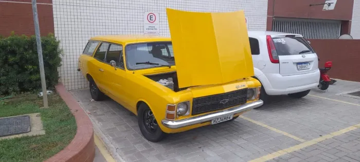 Chevrolet Caravan L/sl/s/ss 2.5/4.1/4.2 1985