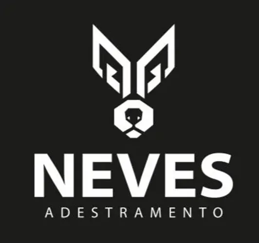 Adestrador e comportamentalista canino 