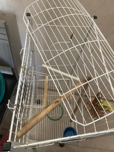 Vende gaiola 