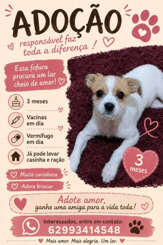 Adoção responsável.