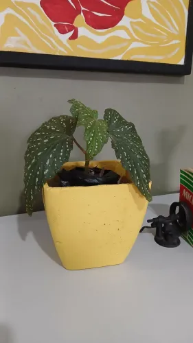 Vaso de Concreto Retangular