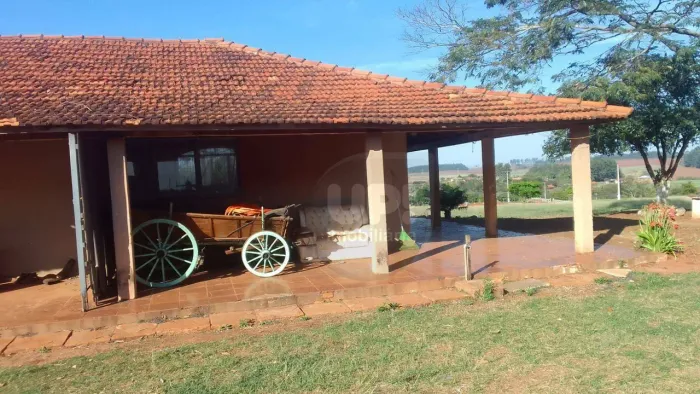 HARAS À VENDA  COMPLETO E PRODUTIVO  INTERIOR DE SÃO PAULO