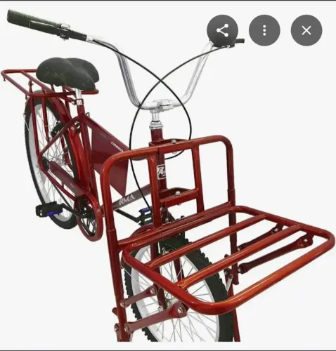 Bicicleta de carga