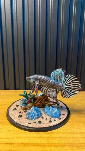Peixe Betta decorativo
