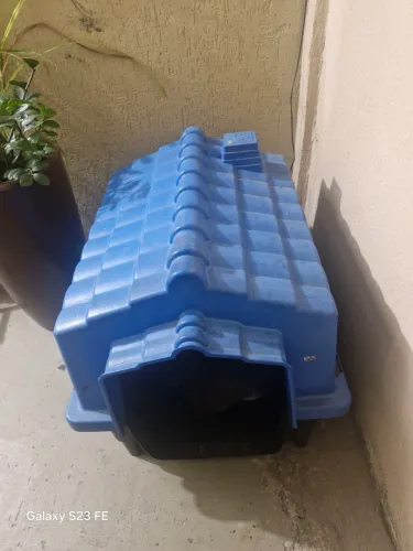 Casinha de cachorro grande
