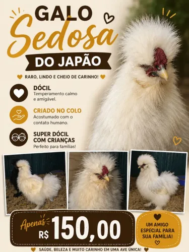 Sedosa do Japão