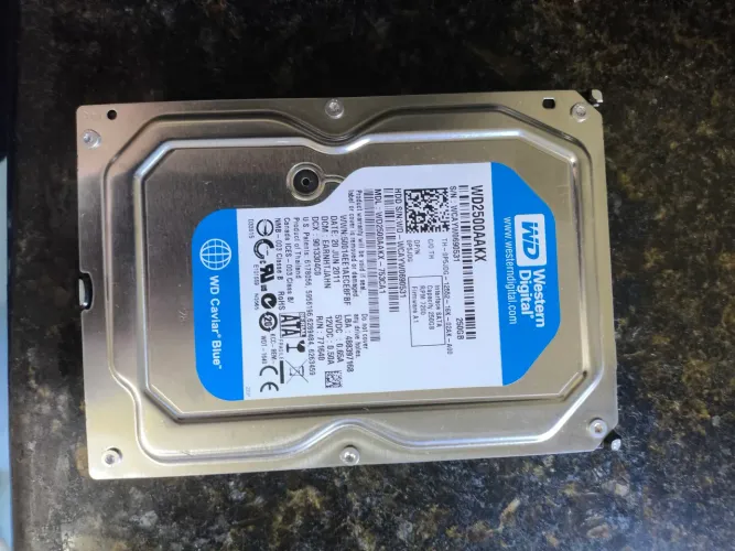 HD WD 250 gb