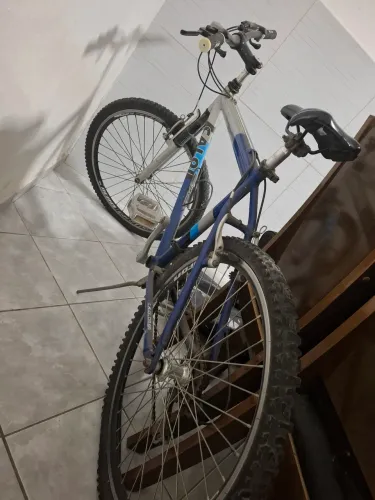 Bicicleta caloi