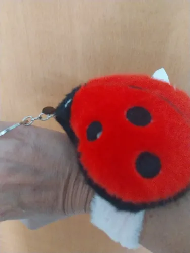 Bracete e chaveiro pelucia joaninha