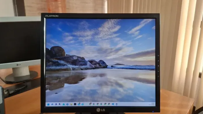 Monitor LG Flatron L1753T-BF (usado)