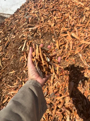 Negócio montado - Produção de cavaco de madeira