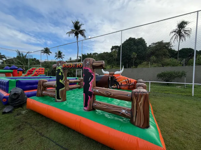 TOURO MECÂNICO BRIQUEDO INFLAVEIL 