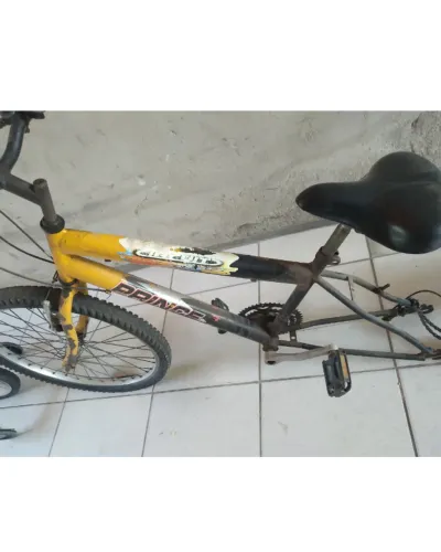 bicicleta 