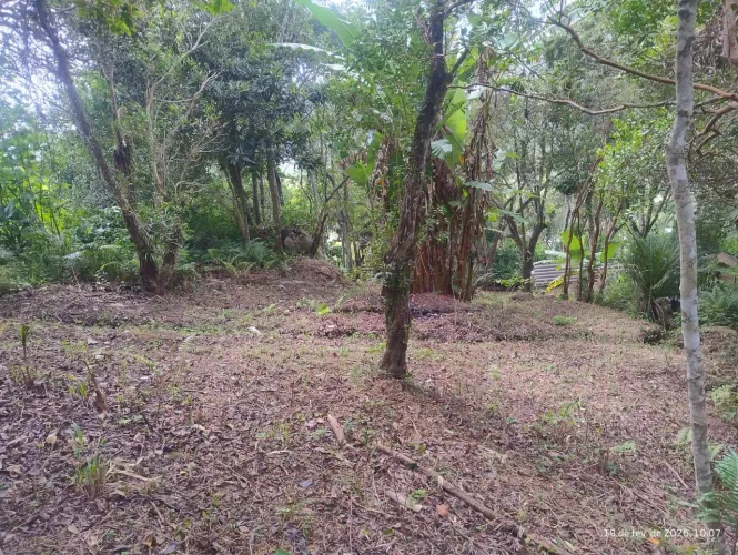 Terreno à Venda - Ratones 70.000,00