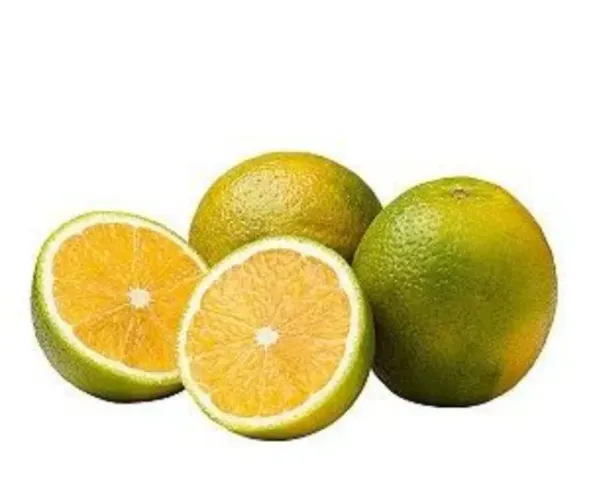 LARANJA SELETA R$ 50,00