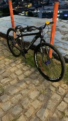 Absoluta Aro29